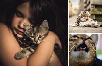 Image Thumbnail